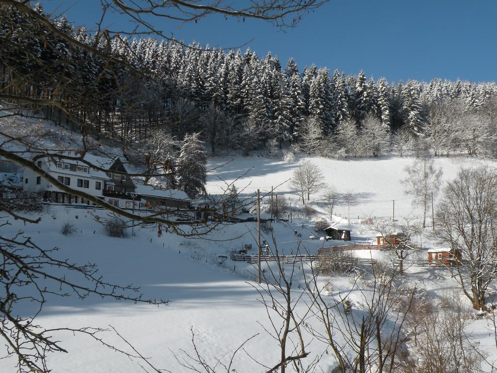 Landgasthof Nesselbach Nordenau Kültér fotó