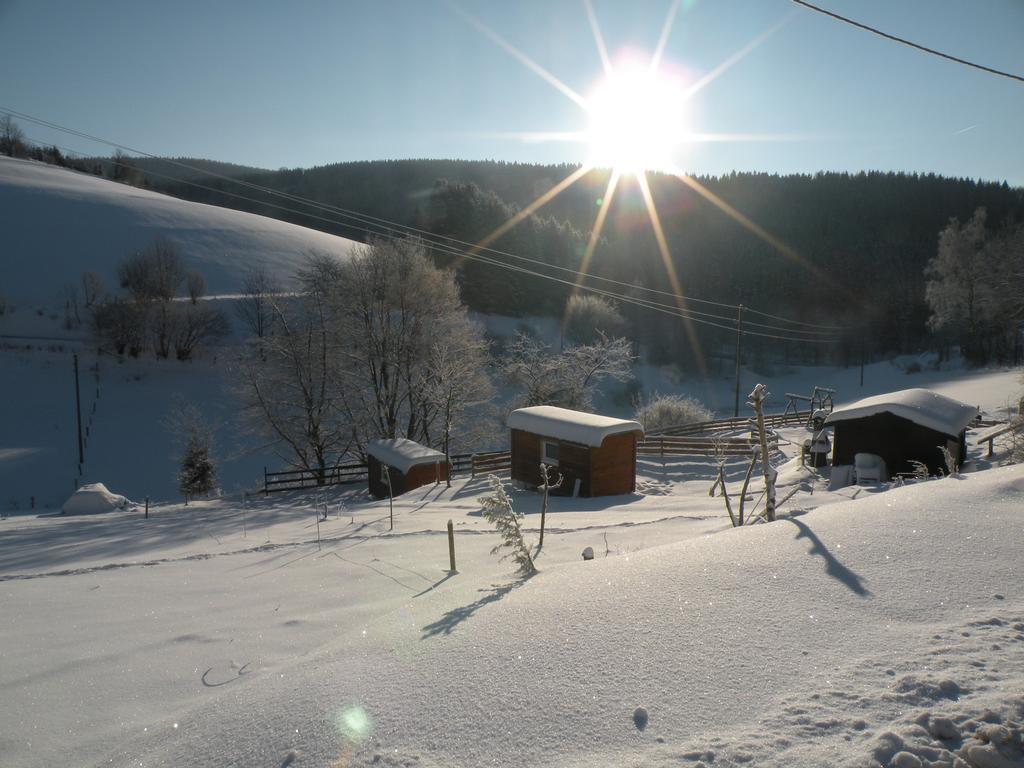 Landgasthof Nesselbach Nordenau Kültér fotó