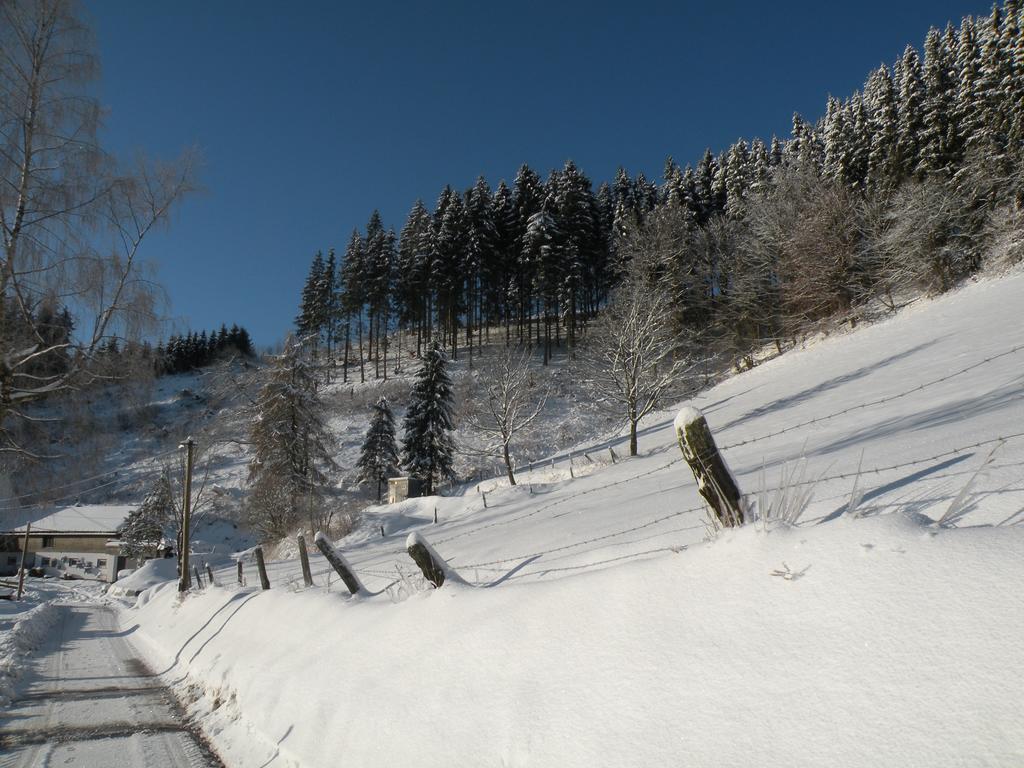 Landgasthof Nesselbach Nordenau Kültér fotó
